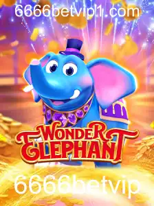 Descubra o Jogo WonderElephant e Como Jogar